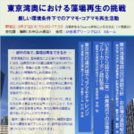 東京湾奥における藻場再生の挑戦